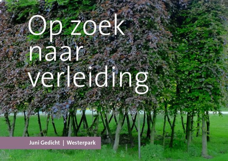 op zoek naar verleiding