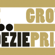 grote poezieprijs